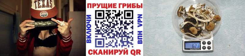 omg ONION  Комсомольск-на-Амуре  Псилоцибиновые грибы Magic Shrooms  где найти  